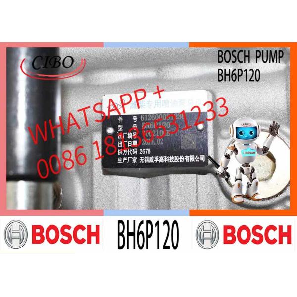 Engine Parts Shanghai C6121 3306 Diesel Engine Longbeng Fuel Injection Pump BH6PA110 BH6P110 BH6P120
