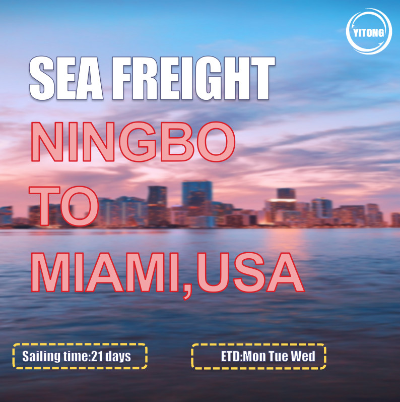 Buy cheap MSC EMC Liner International Sea Freight Solutions From Ningbo To Miami USA product