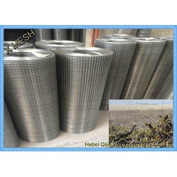 1/2"X1/2" Welded Wire Mesh Steel Prevent Snake Fencing Size Customized