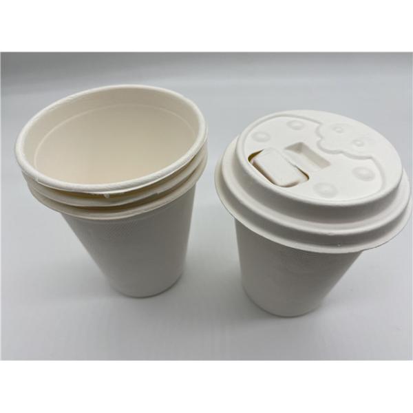 Eco Friendly 12oz 90x97mm Biodegradable Cups And Lids