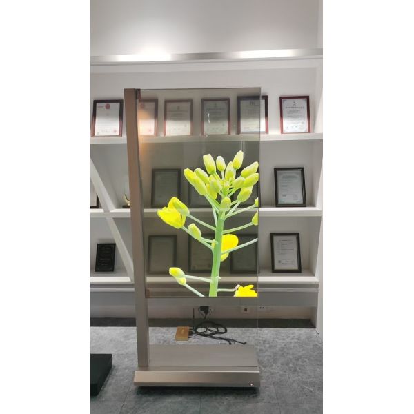 55 Inch Indoor Floor Standing Touch Transparent OLED Display for Smart Commercial and Interactive Applications