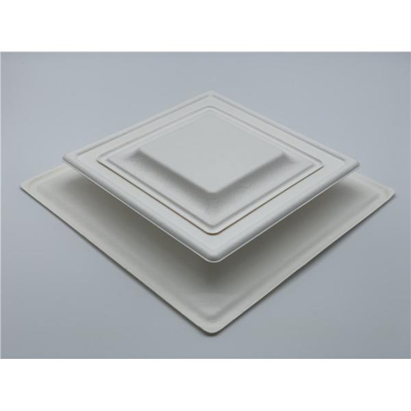 6 Inch Waterproof Tableware Square Sugarcane Waste Plates