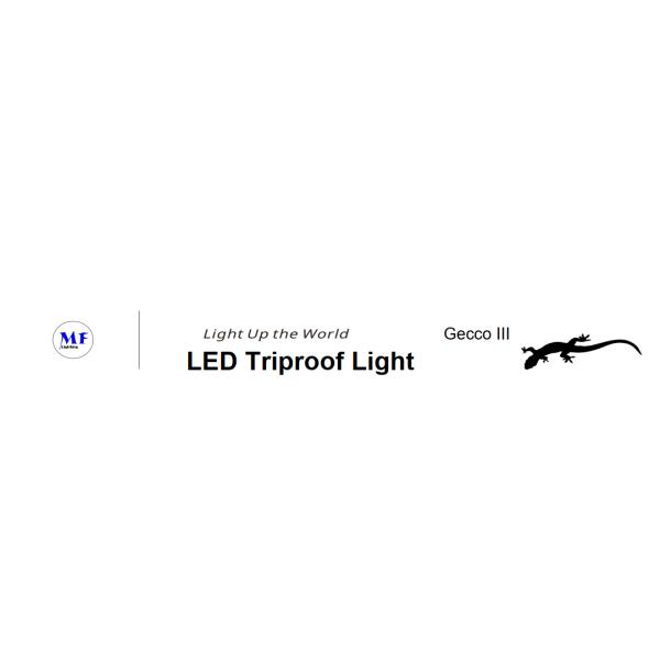 CCT Adjustable Available LED Tri-Proof Light Outdoor IP66 Waterproof Plastic Model 170lm/W