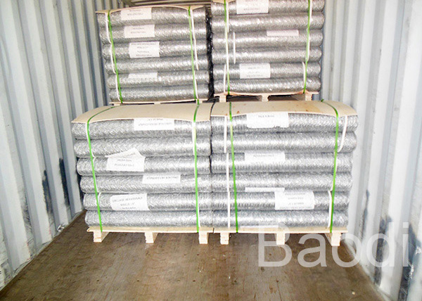 Rolled Galvanized Iron Chicken Wire Mesh Hexagonal Shape For Highway Guardrail