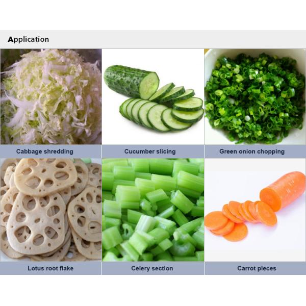 Used vegetable cube cutter cutting machine in india