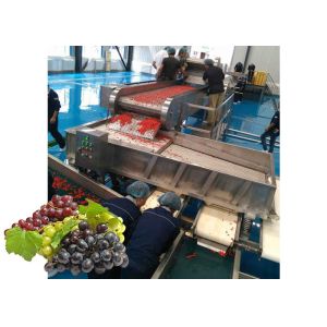 Buy cheap Concentrated Grape Juice Processing Line / Fruit Juice Processing Equipment product