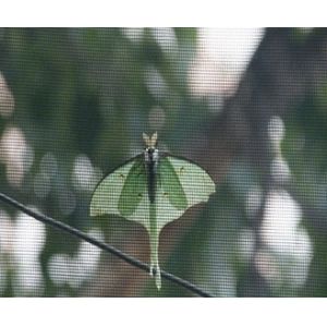 Buy cheap Pigeon Control Anti Bird Net Making Machine For Balcony Marine Oil Suction Net product