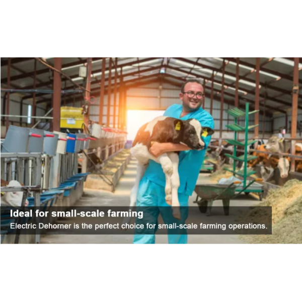 Electric Dehorner with Rapid Heating High-Purity Copper Heating Head and Ergonomic Anti-slip Handle for Livestock Horn Removal