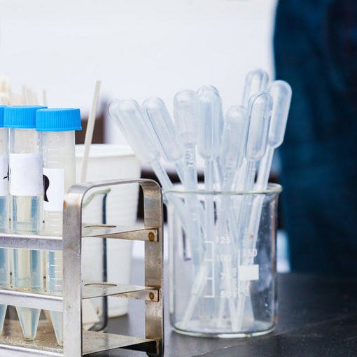 Clear Disposable Lab Science Plastic Squeeze Transfer Pipettes Pasteur Pipette Dropper