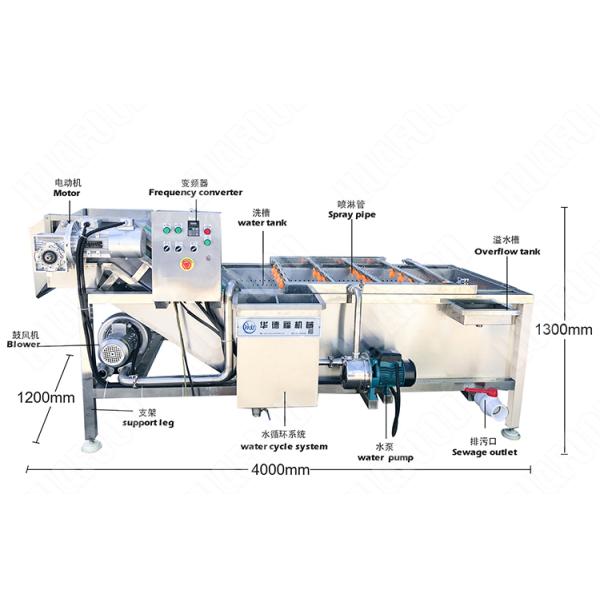 Spinach/cabbage/celery Bubble Vegetable Washing Machine Farm