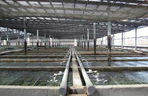 Energy-Efficient Aquaculture Heat Pump with Long-Life and Simple Operation for Precise Water Temperature Control
