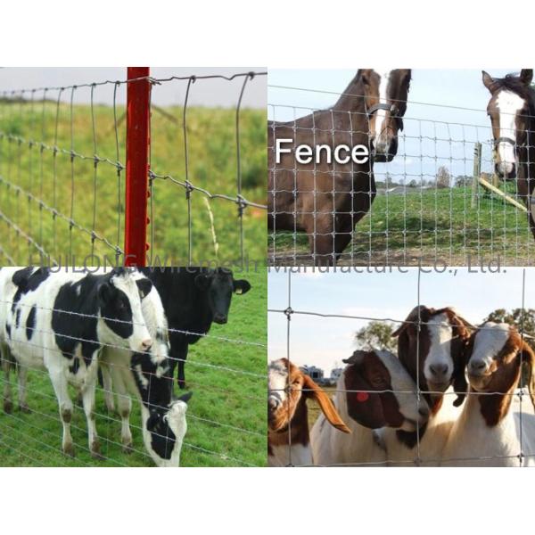 100m Heavy Zinc Coating Knotted Wire Mesh For Goat Horse Fencing