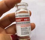 Diminazene Aceturate Injection Labels And Boxes