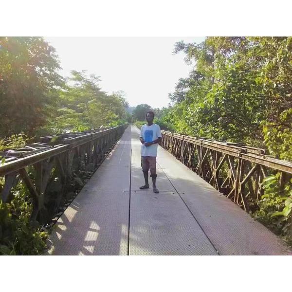 Prefab Galvanized Steel Frame Structure Bridge Weather Resistant