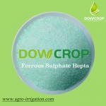 DOWCROP HIGH QUALITY 100% WATER SOLUBLE HEPT SULPHATE FERROUS 19.7% GREEN