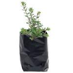 5gallon 7gallon hydroponics tomatoes plant pot garden planter bags plastic black
