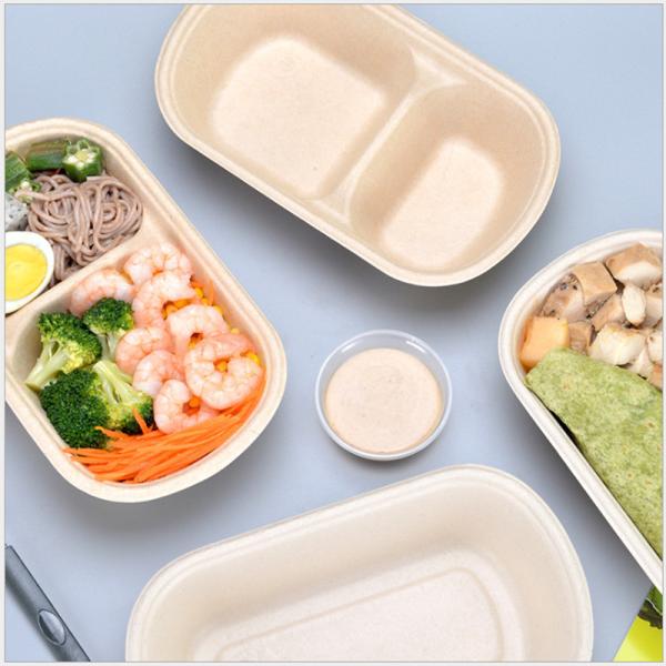 850ml 1000ml Biodegradable Bagasse Tableware Greaseproof Microwave Container With Lid