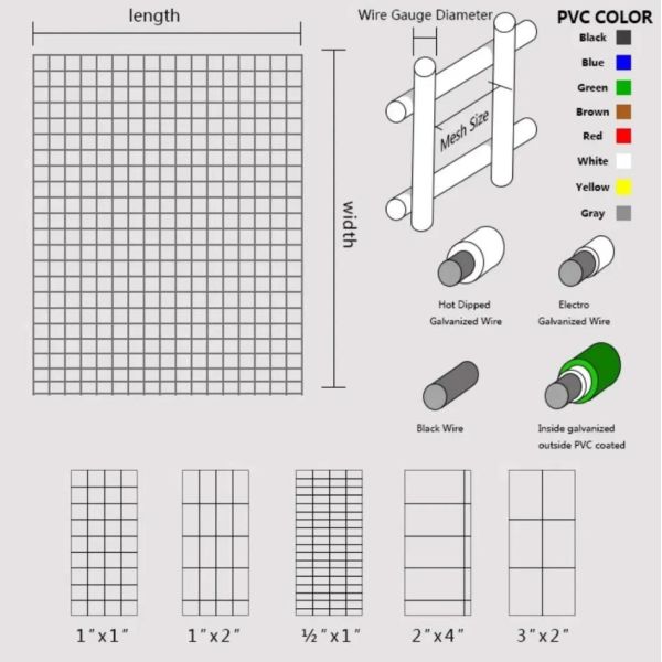 Plastic Coated Welded Wire Mesh Roll 2x2 Galvanized Welded Wire Mesh
