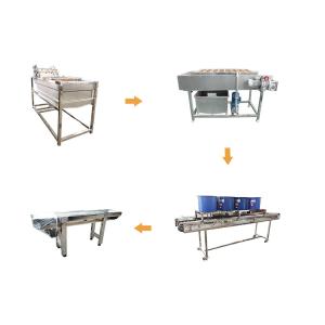 SS304 Vegetable And Fruit Washing Machine Mango Processing Line