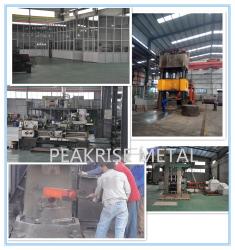 Shaanxi Peakrise Metal Co.,Ltd