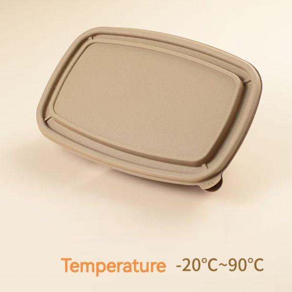 Factory Direct Delivery 100% Biodegradable 2 Compartment Rice Husk Lunch Container With Lid