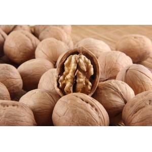 Walnut Chinan Manufacturer Xin2 walnut In shell Best Price Delicious Light Brown