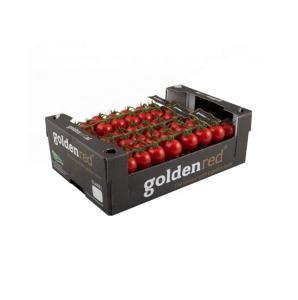 Buy cheap Foldable Custom Printed Cardboard Boxes , Fruit Carton Box Hard Material product