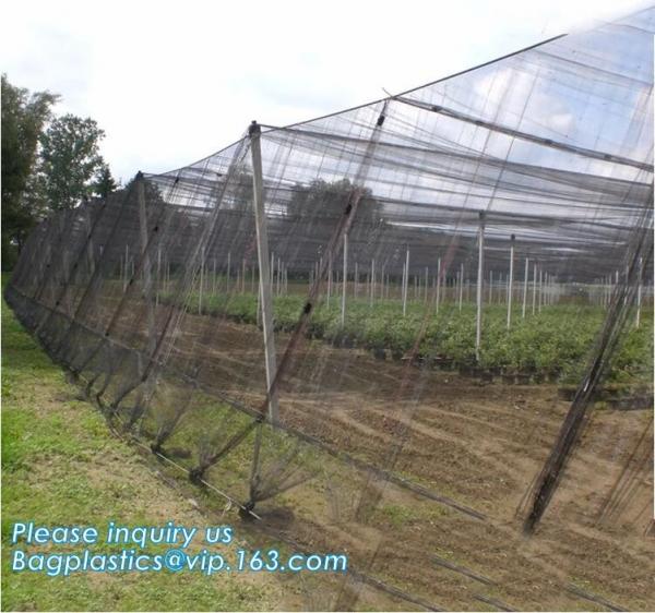 cheap and durable plastic colored anti mosquito netting/window insect screen,Industrial Agricultural Greenhouses use 2m