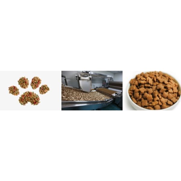 Custom shaped fish food pellets in various forms