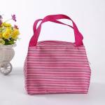 Eco Friendly Pink Insulated Cooler Bags With Canvas Fabric Material Wash In