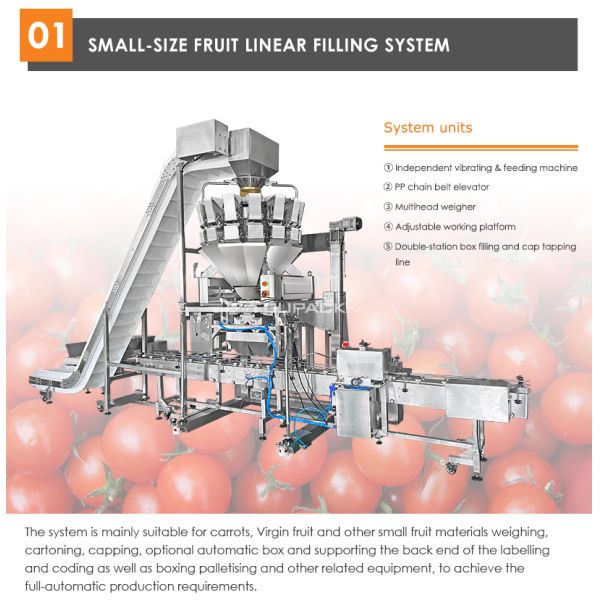 Fruit Clamshell Packaging Line Automatic Fruit Weighing And Filling Machine PET Box Fruit Packaging System