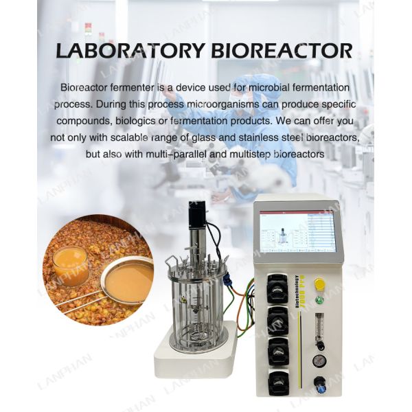 0.25L-15L Glass Bioreactor plant Bioreactor Laboratory Bioreactor Equipment For Cell Culture