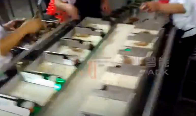 AC220V CE Approve Fruit And Vegetable Packaging Machine12 Head