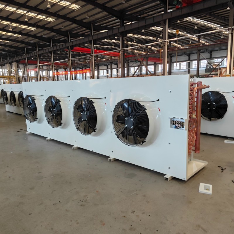 Durable DL410 Evaporator for Ultra Large Industrial Cold Storage