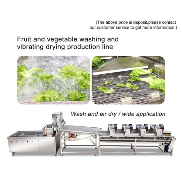 1000KG/H Fruit And Vegetable Processing Line Bubble Washing And Vibrating Drying