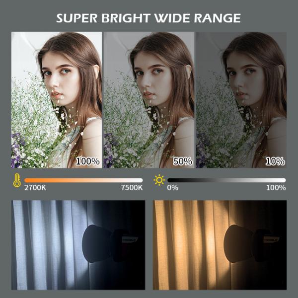 Large spotlight 300w fill light can be matched with a soft box, suitable for studio photography