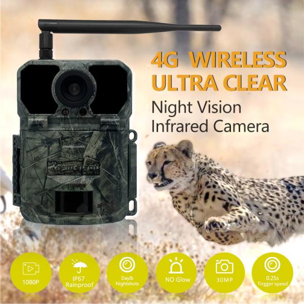 30MP Deer Trail Camera Megapixel Sensors Waterproof IP65 With SDHC Card