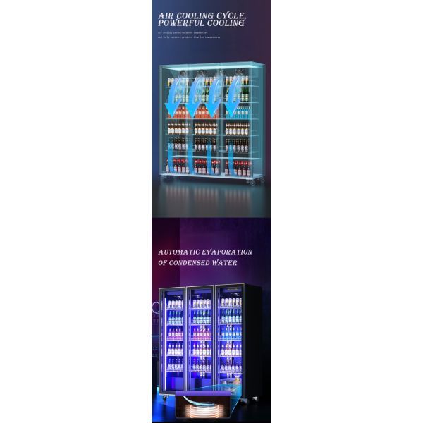 Freestanding Beverage Cooler Refrigerator Glass Fronted Drinks Fridge