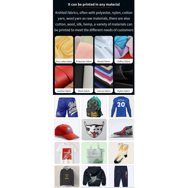 Full-Automatic DTF Printer with Multi Color Printing and 30cm Printing Width for Digital T-Shirt Printing