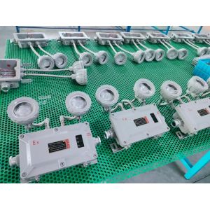 Buy cheap Explosion Proof LED Emergency Light - Wall/Ceiling Mount product
