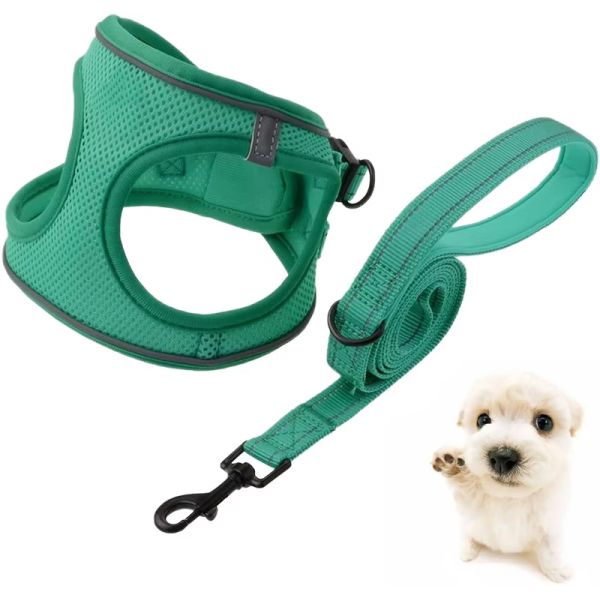 Custom dog harness front view showing reflective material and padding