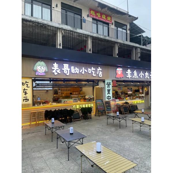 BirdSanctuary Wildlife Folding Window Incorporating Scientifically Validated UV Collision Deterrent Patterns