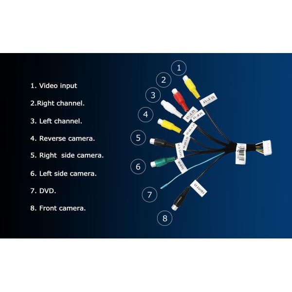 OEM Multimedia Video Interface