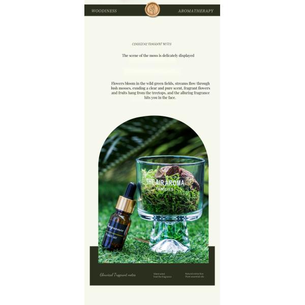 Designer 100ml Moss Diffuser Gift Set Keeping Air Fresh with Creative Scented Oil