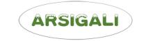 China Co.、株式会社を交換するフォーシャンArsigali logo
