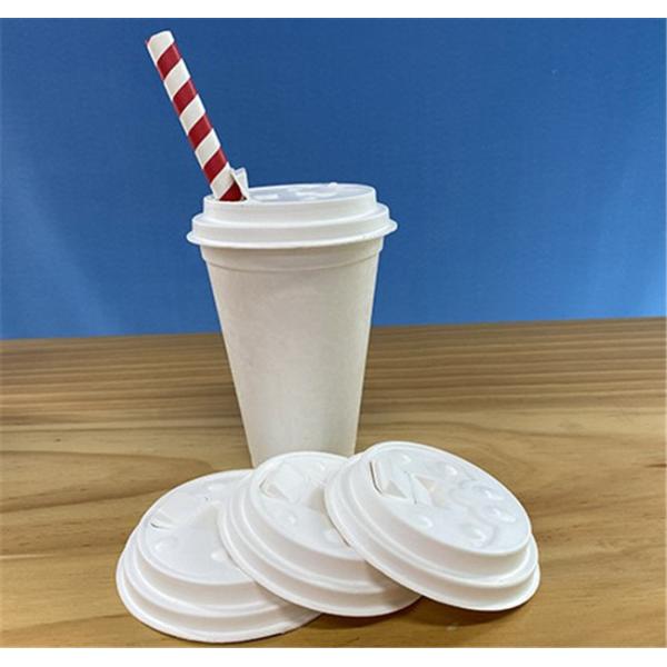 Natural Biodegradable Cups And Lids φ95 X 20 Mm