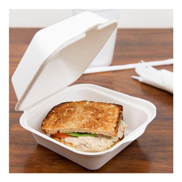Nontoxic 21g Biodegradable Bagasse Tableware Pulp Clamshell 6 Inch Bagasse Burger Box