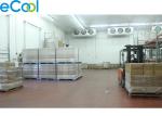 PU Board Custom Cold Storage For Leasing , Cold Storage Refrigeration With Freon