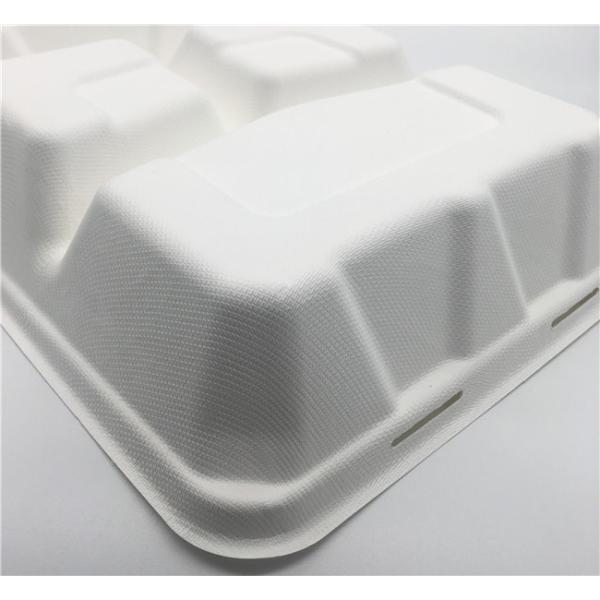8 Inch 38g Clamshell Biodegradable To Go Containers