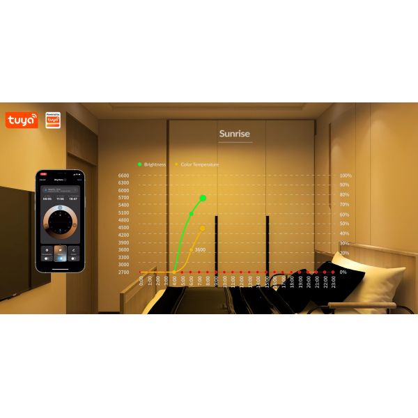 CCT Smart Wifi Controller Tuya Platform 5-24V DC input Circadian Lighting